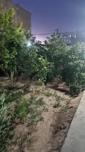 باغ ویلا حاجی شیپور