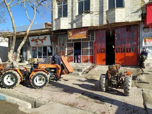 نمایندگی گلدونی همتی