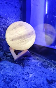 Bluemoon