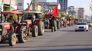 ارزان مارکت دوشا