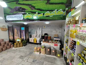 ارگانیک سرای روشن