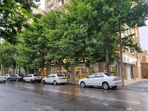 شیرینی حاج عباس شقایق