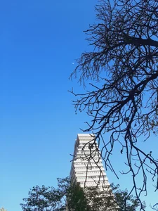 برج بانک سامان 4
