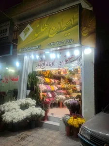 گل فروشی ایران هلند