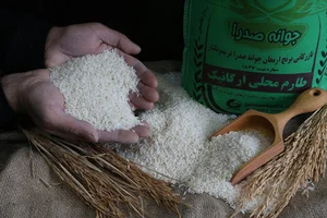 جوانه صدرا | فروشگاه برنج اصیل ایرانی