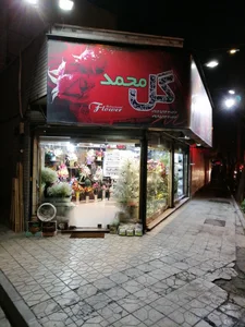 گل بهار 4