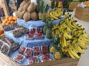 میوه سرای سید 3