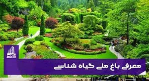 پارک محله گویم