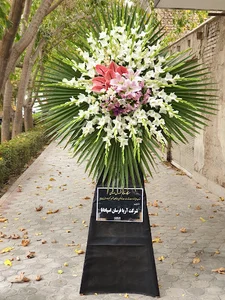 گلفروشی نیلوفرآبی
