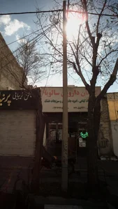 گیاهان دارویی سالویا 2