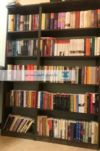 شاپرک شهر بادی