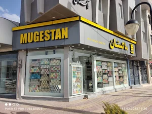ماگستان