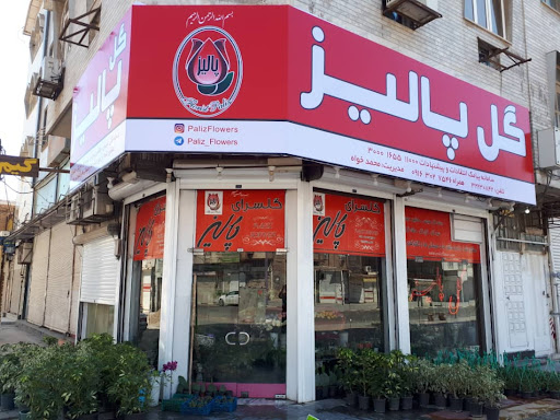 گلفروشی پالیز