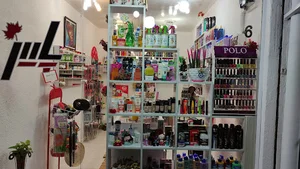 آرایشی پاییز
