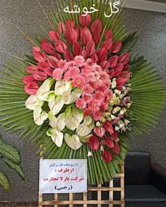 گل خوشه