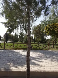 پارک فیروزه 2