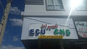 CNG & ECU