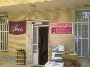 موسسه منتظران منجی