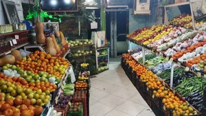 میوه سرای اورنگ 3