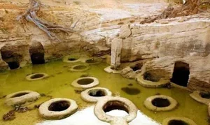 همدان موزه فسیل های دریایی