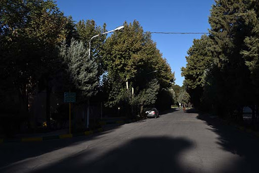 موسسه خیریه ریحانه
