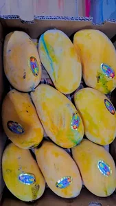 تازه میوه فروشی امان زاده
