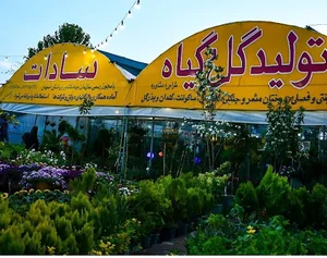 تولیدی گل وگیاه سادات