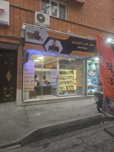 دفتر فنی پاپیروس 4