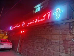 آکادمی کاراته کیوکوشین 4