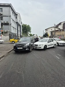 قارچ سنتر