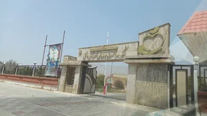 شبکه بهداشت و درمان شهرستان دشتی