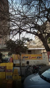 سوپر مرغ صدف 2