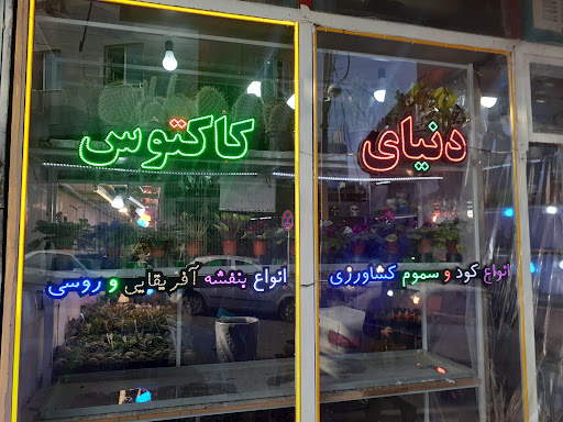 گلفروشی اروم کاکتوس