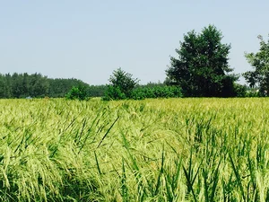 بوستان شهرک بهجت