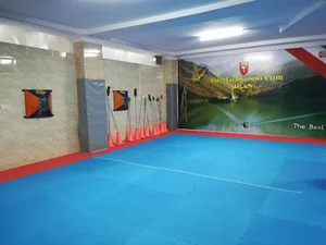پایگاه قهرمانی تکواندو یاری