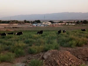 کانال قره‌قوم