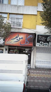 گل مریم 3