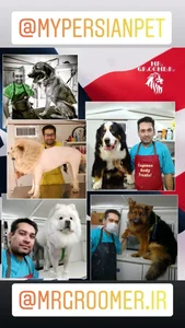 آرایشگاه حیوانات مسترگرومر 3