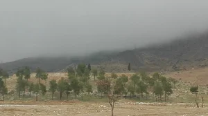 زمین فوتبال