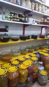 ترشیجات پوریا