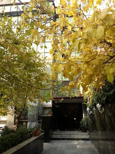 کلینیک جراحی مهرسینا