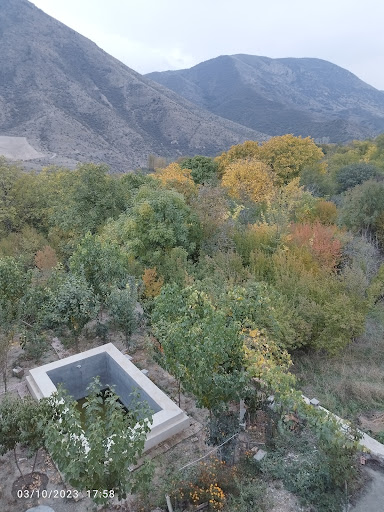 ویلای علی