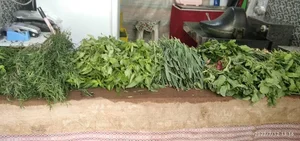 سبزی فروشی رحیمی 3