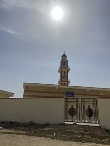 هيت
