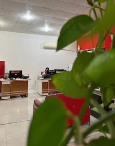 کانون تبلیغات مرکب