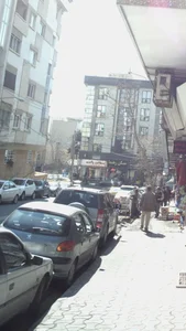 پروتئین پالیزی 3