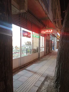 فاراد الکترونیک