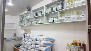 چای و برنج اصل گیلان - شریف