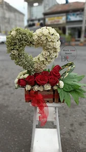 گلکده ی رز مشکی Blackrose Flower
