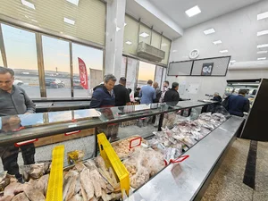 Tehran Shabahang Central Store فروشگاه تهران شباهنگ